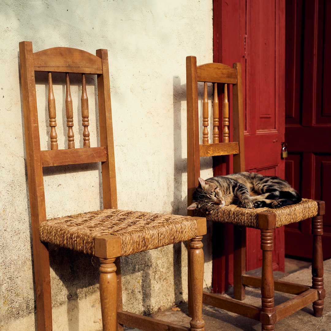 Cane Back Dining Chair — angle 2