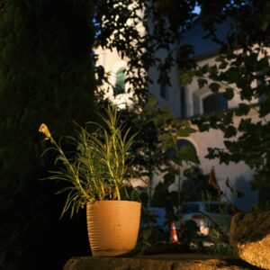 Outdoor Ceramic Planter