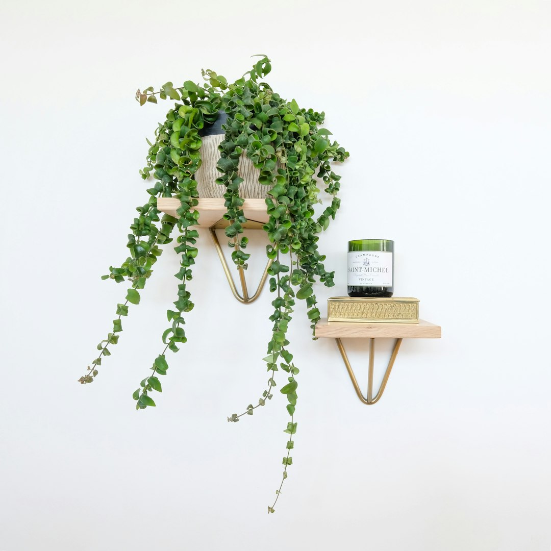 Sunburst Wall Mirror — angle 5