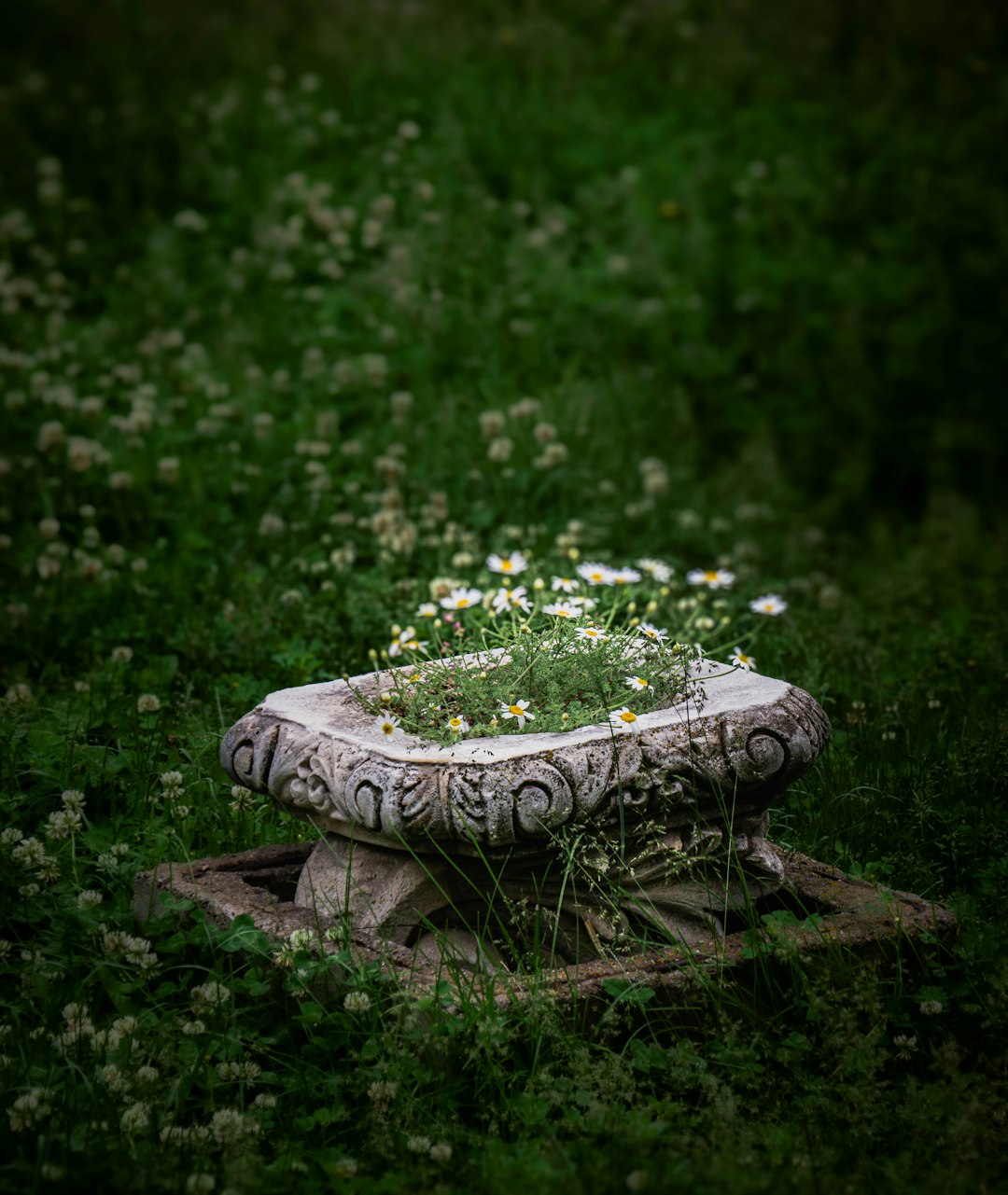 Woven Garden Lantern